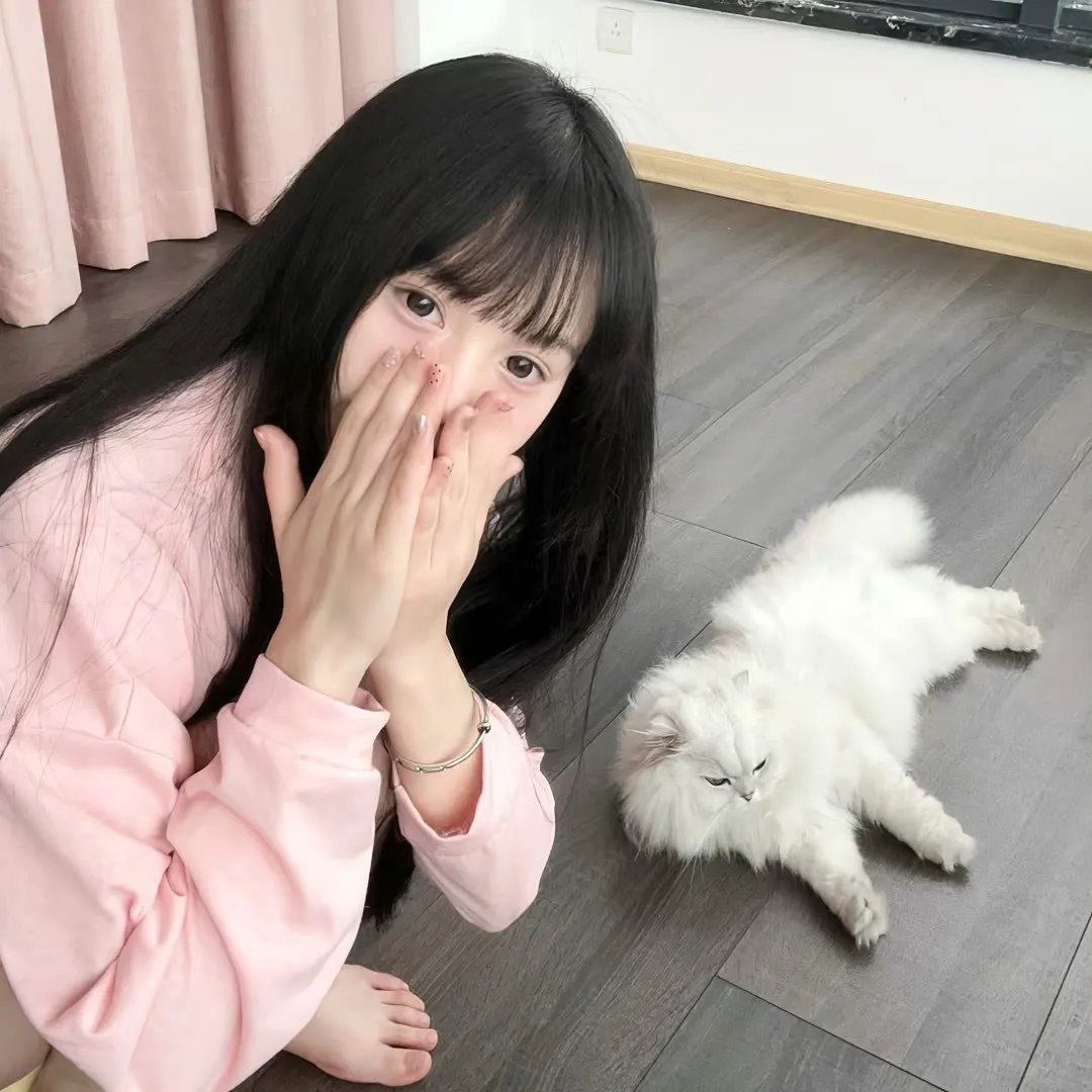 洛基第五集：龙吟虎啸