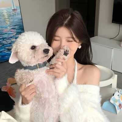 精灵宝可梦：大家的故事